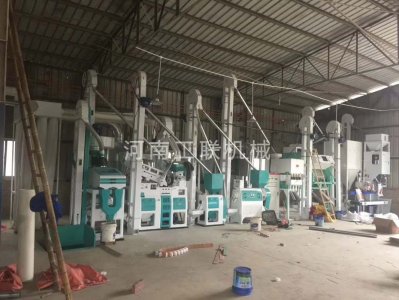 20噸大米色選加工設備