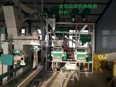 全自動雙機雜糧磨粉機