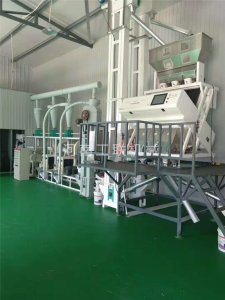 （蕎麥米）雜糧加工設(shè)備